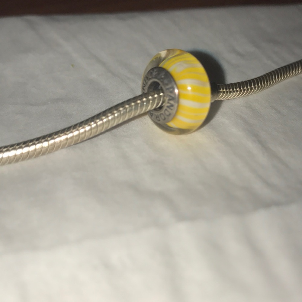 Pandora Charm